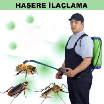 Gebze Böcek İlaçlama